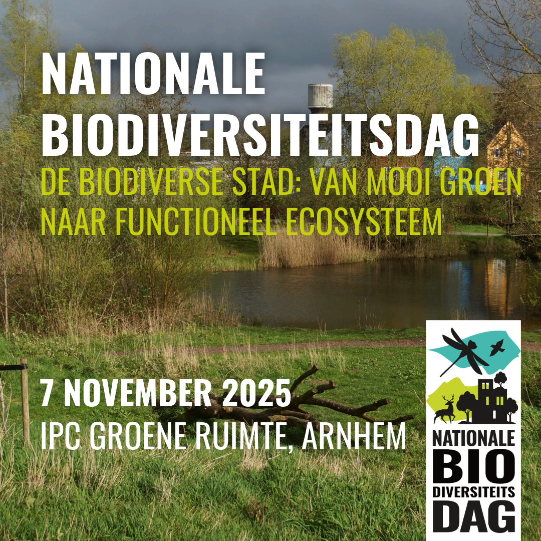 Nationale BD vierkant