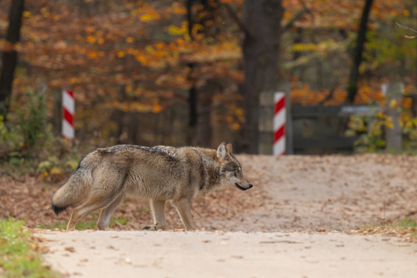 Shutterstock 2701311449 verkleind