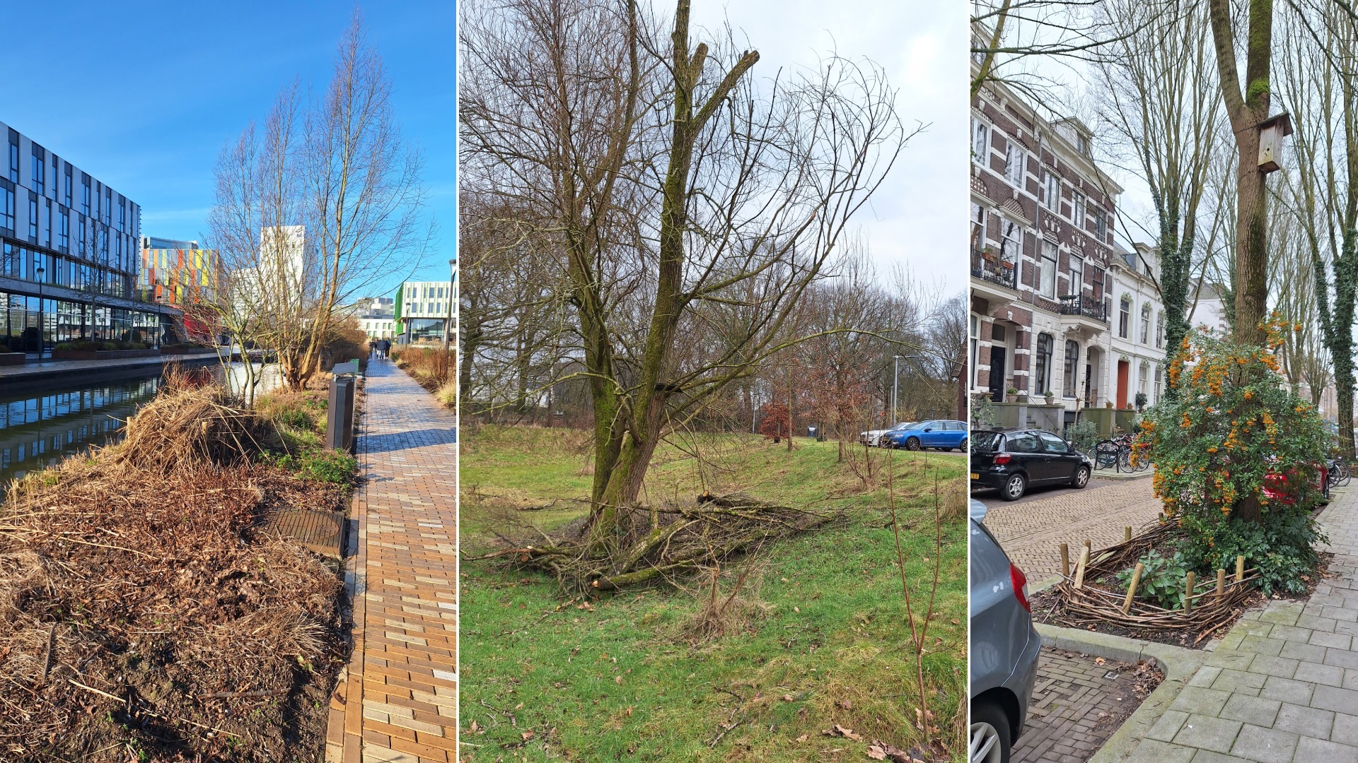 Natuurvolgend onderhoud nieuwsafbeelding