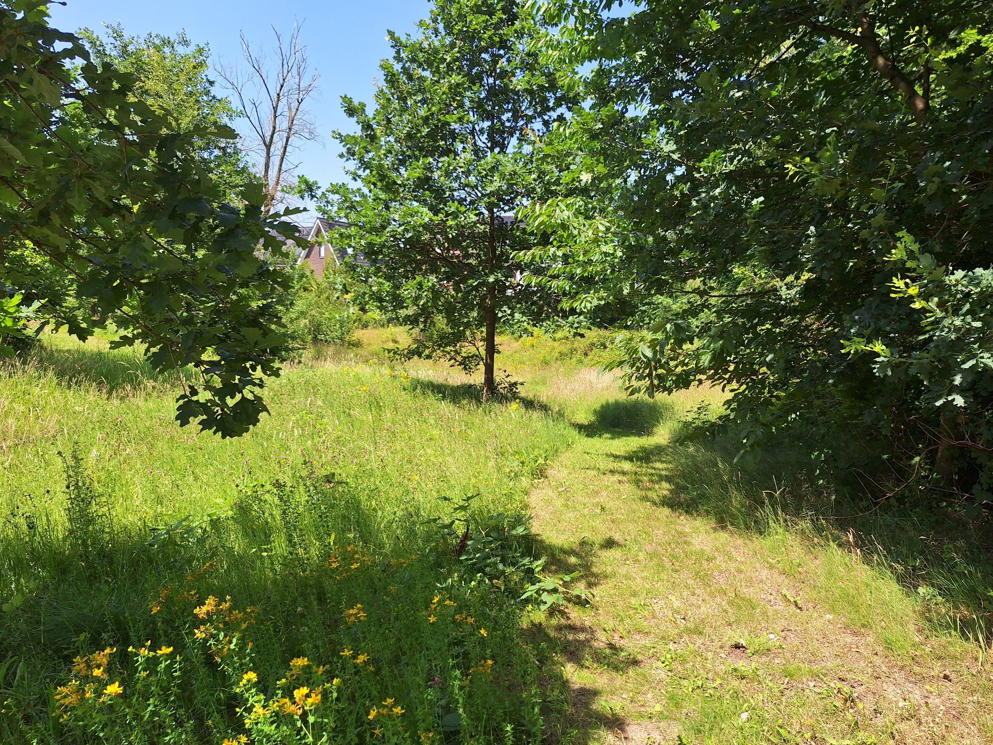 Natuurvolgend onderhoud