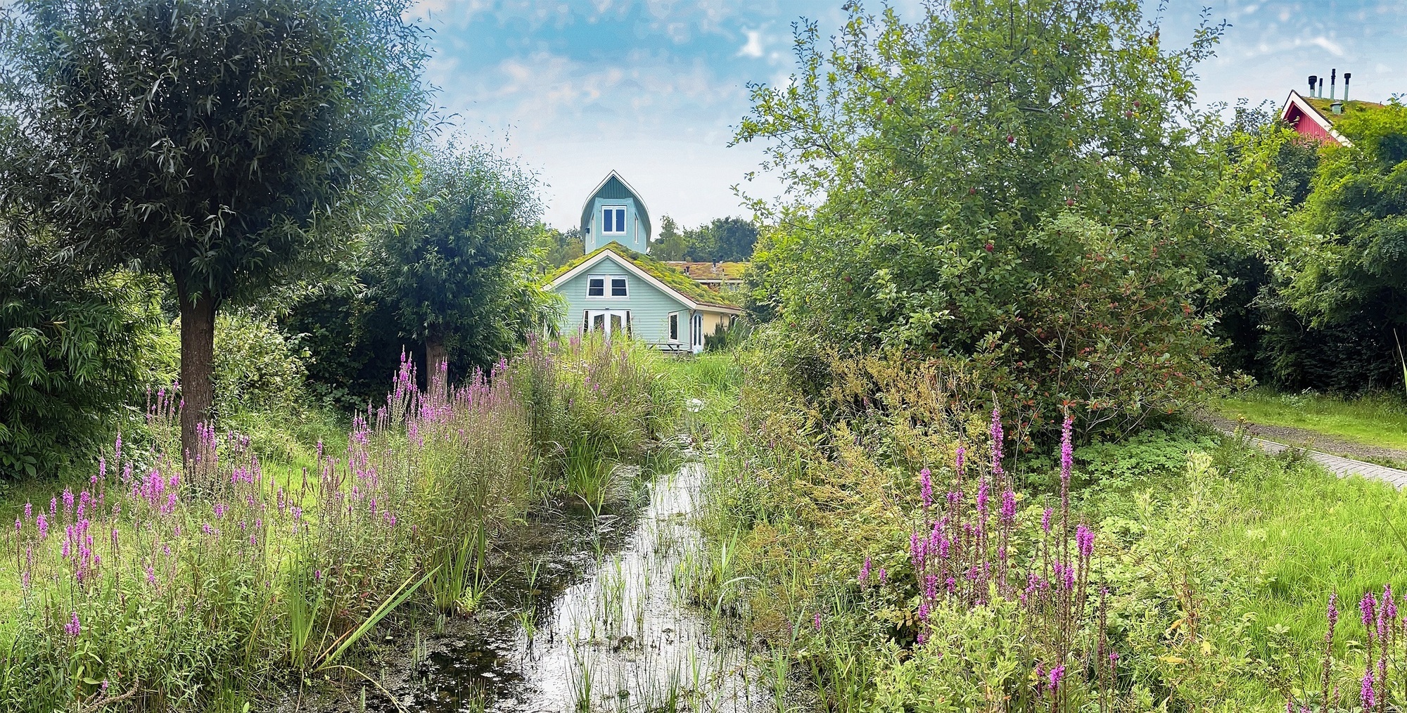 Biodiversiteit