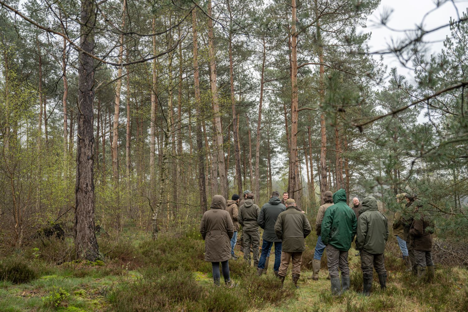 Fauna - grofwildbeheer