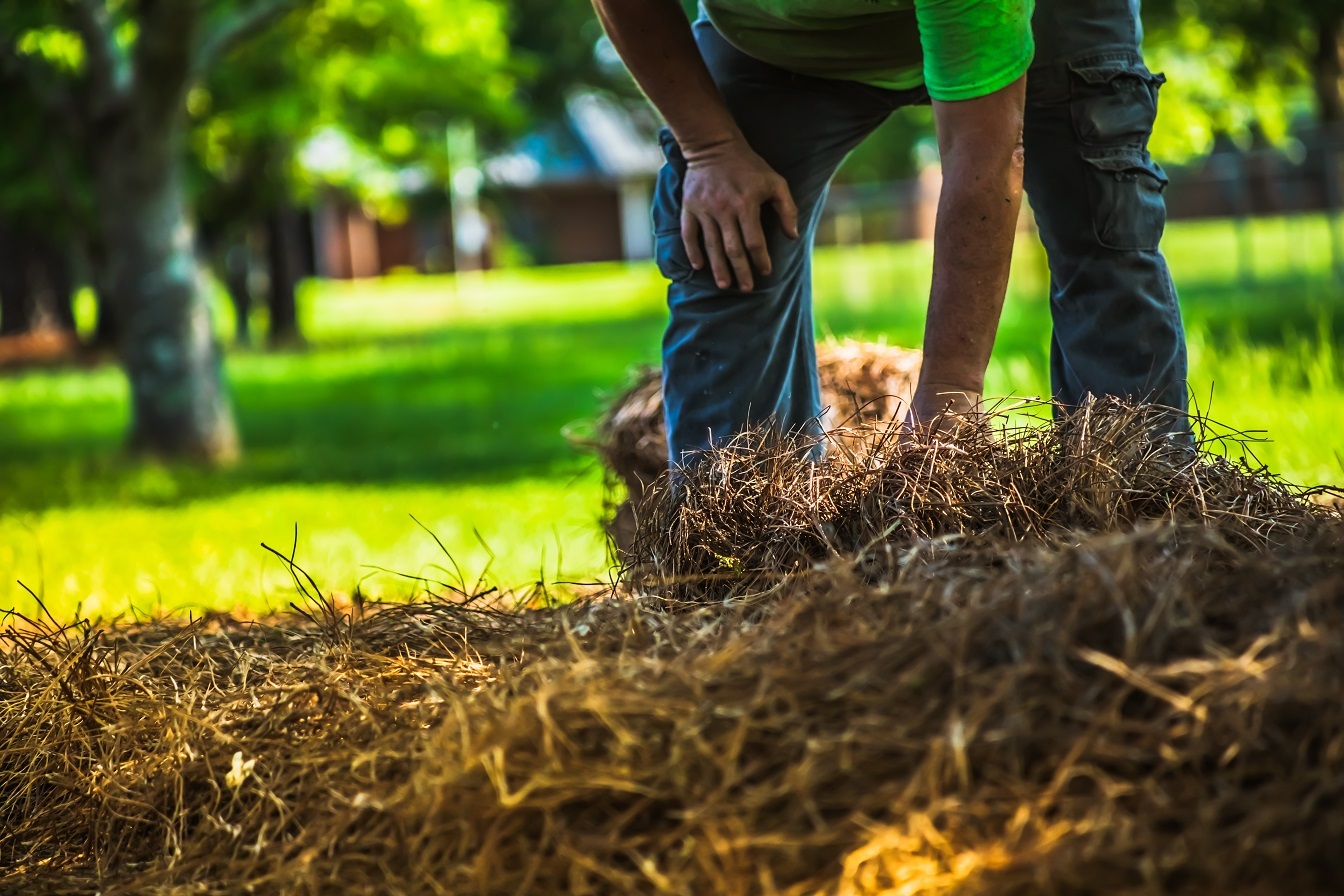 Groundsman onderhoud hooi IPC