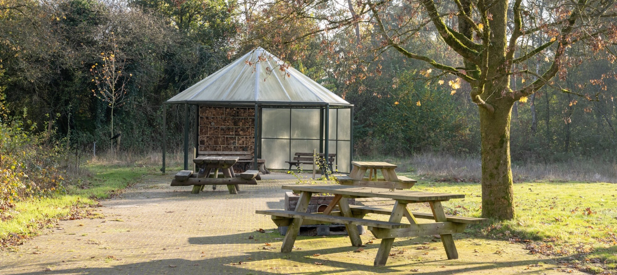Locatie IPC terrein 29 bijgesneden