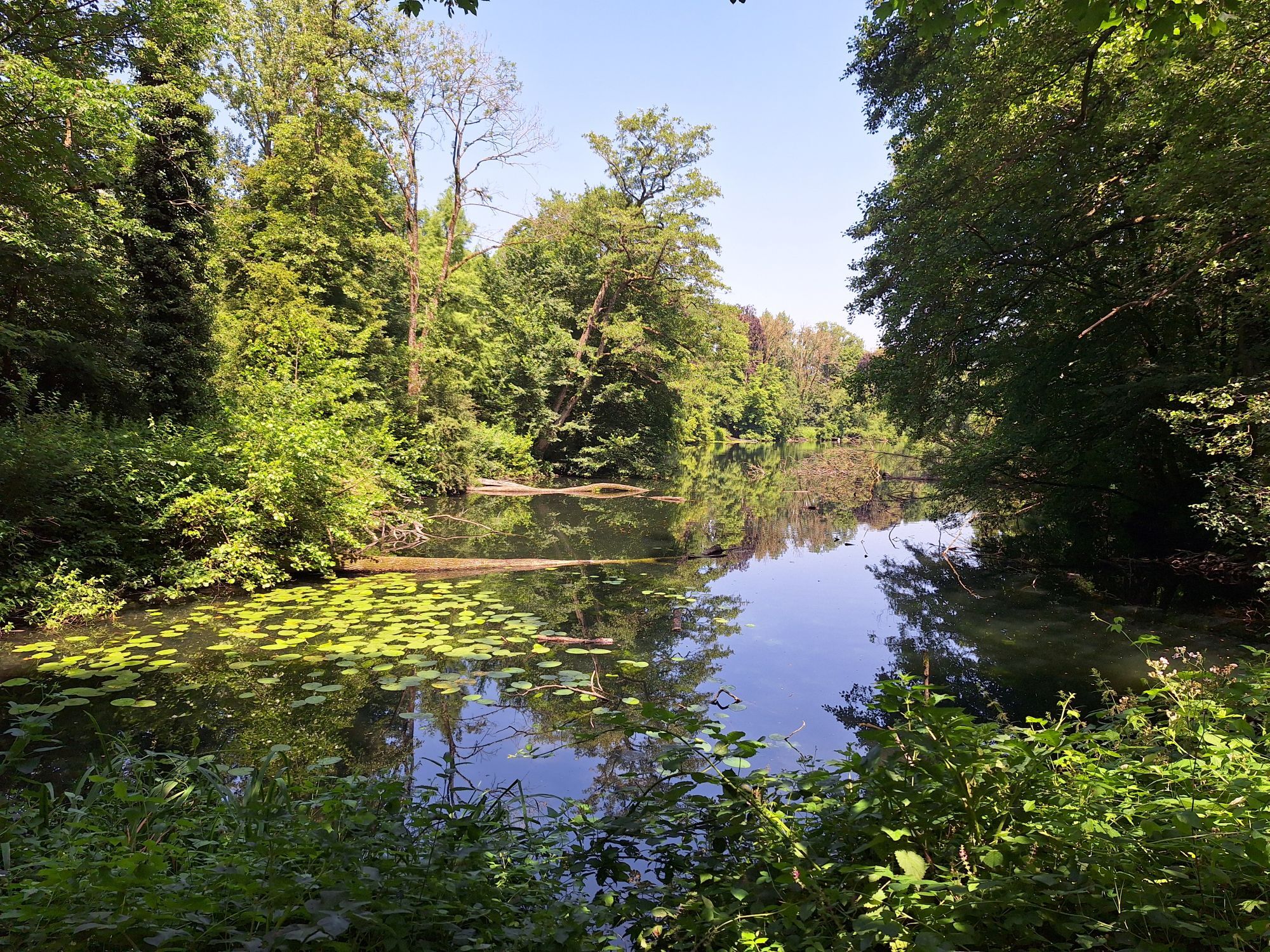Natuurvolgend onderhoud 10
