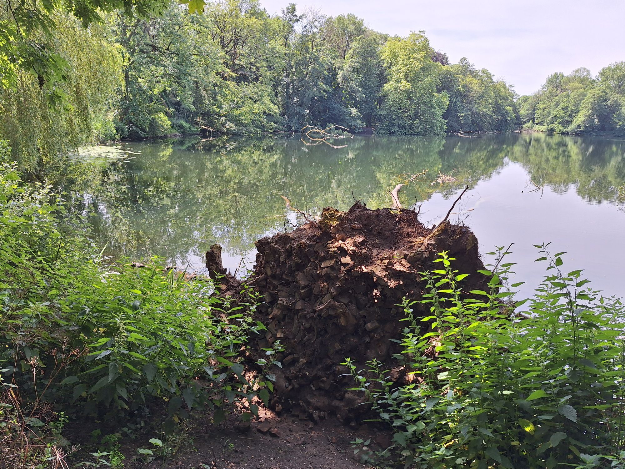 Natuurvolgend onderhoud 2