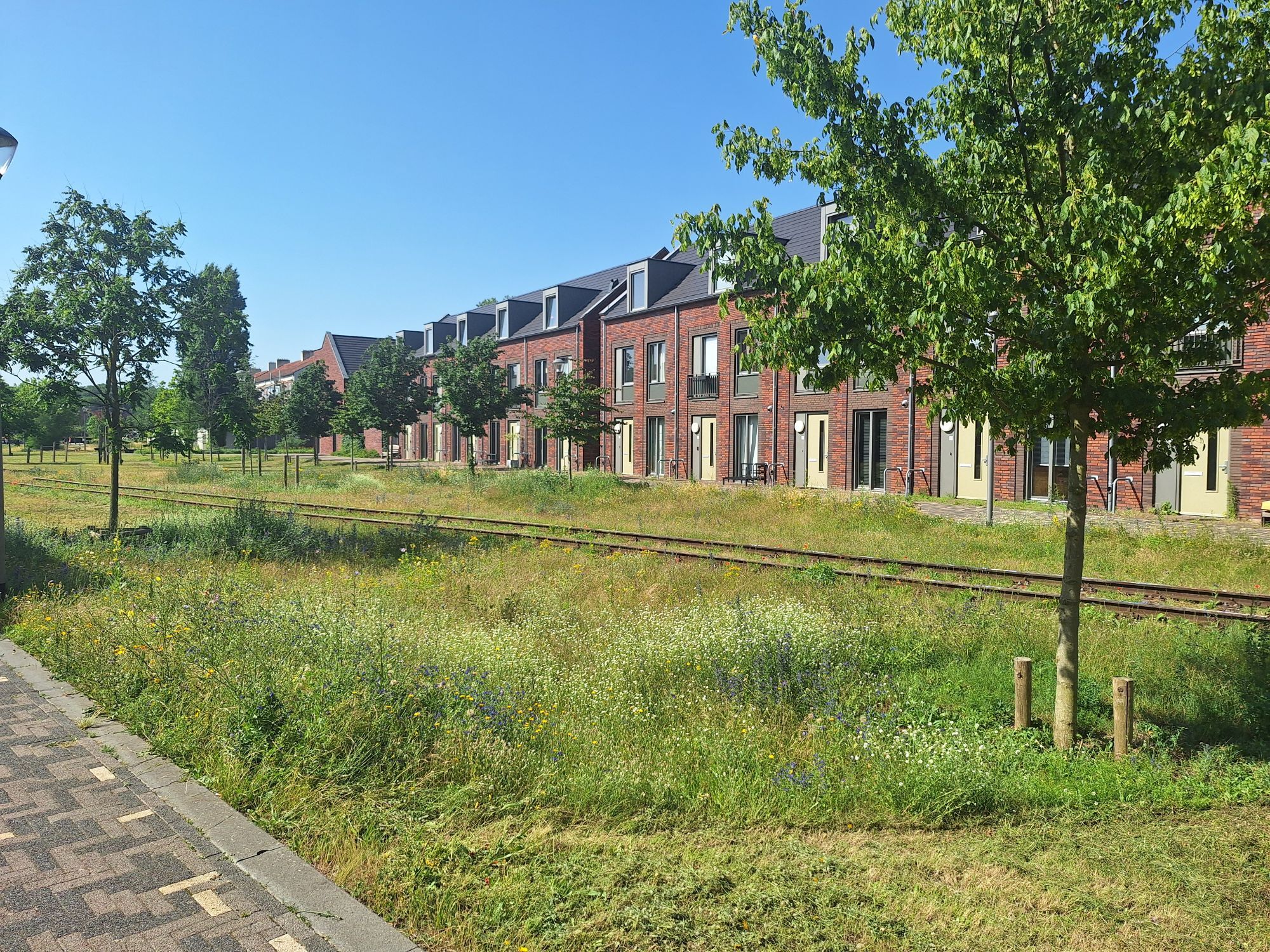 Natuurvolgend onderhoud 4