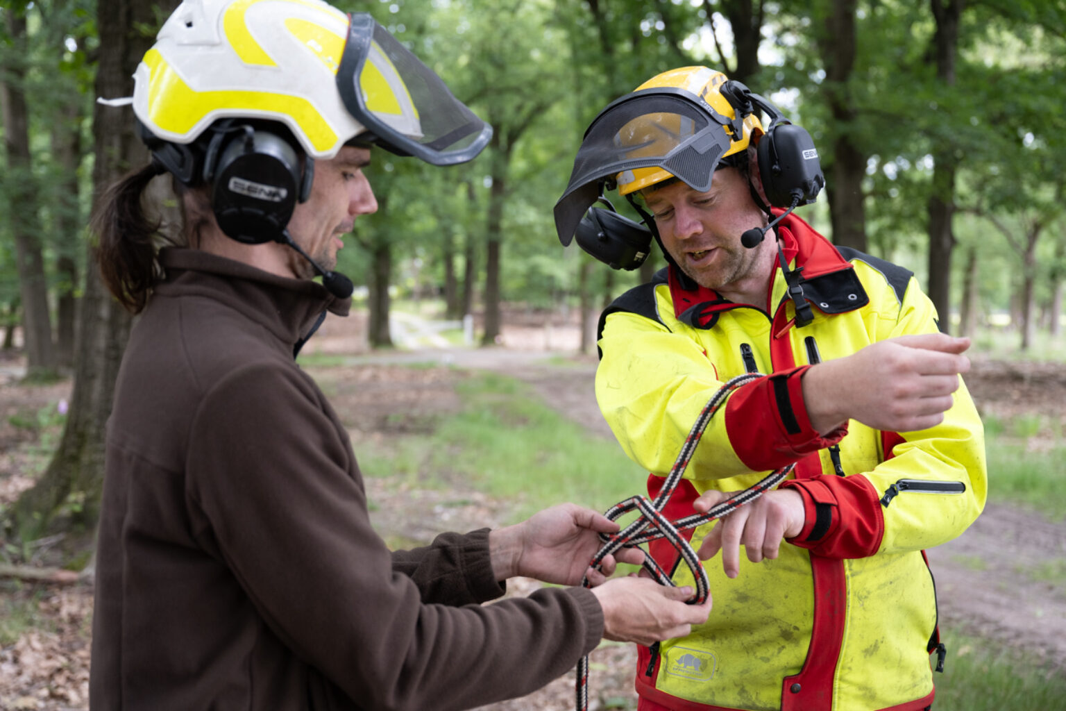 Boomverzorging bomen klimmen etw