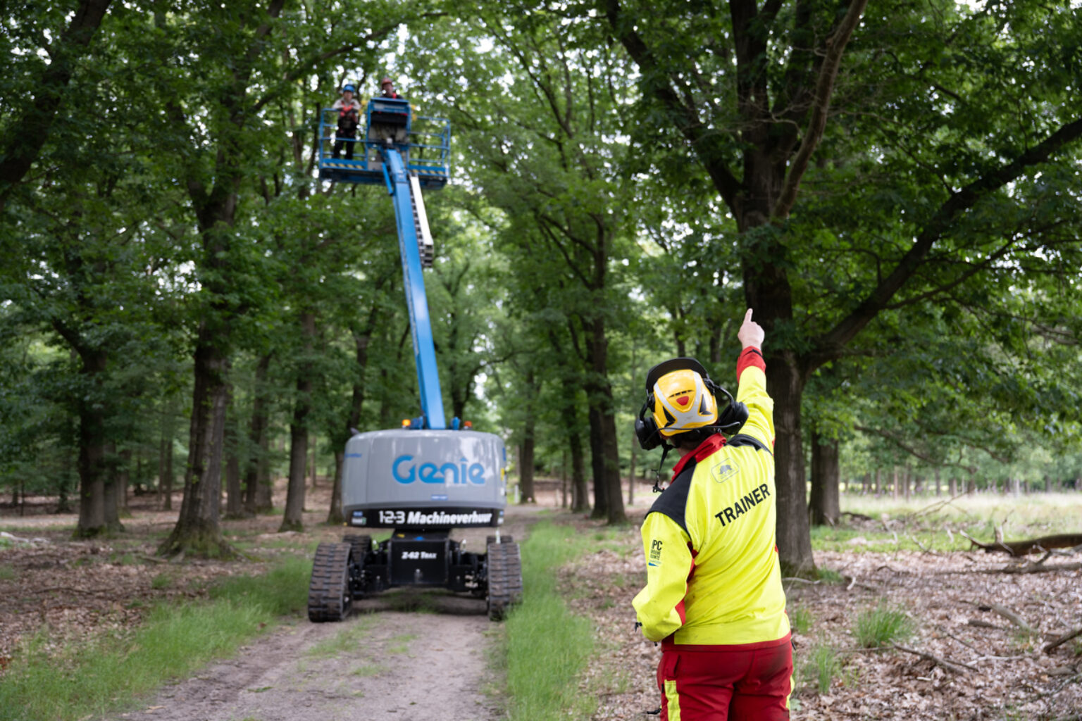 Boomverzorging bomen klimmen etw hoogwerker