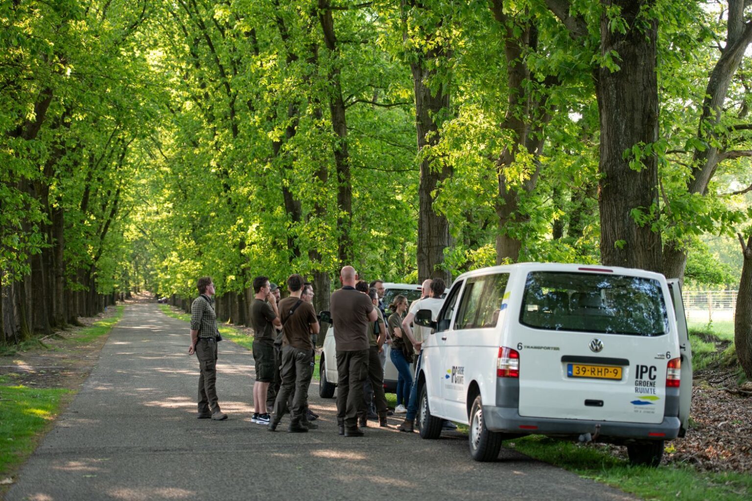 Fauna - boom - groen - alle fauna aanbod