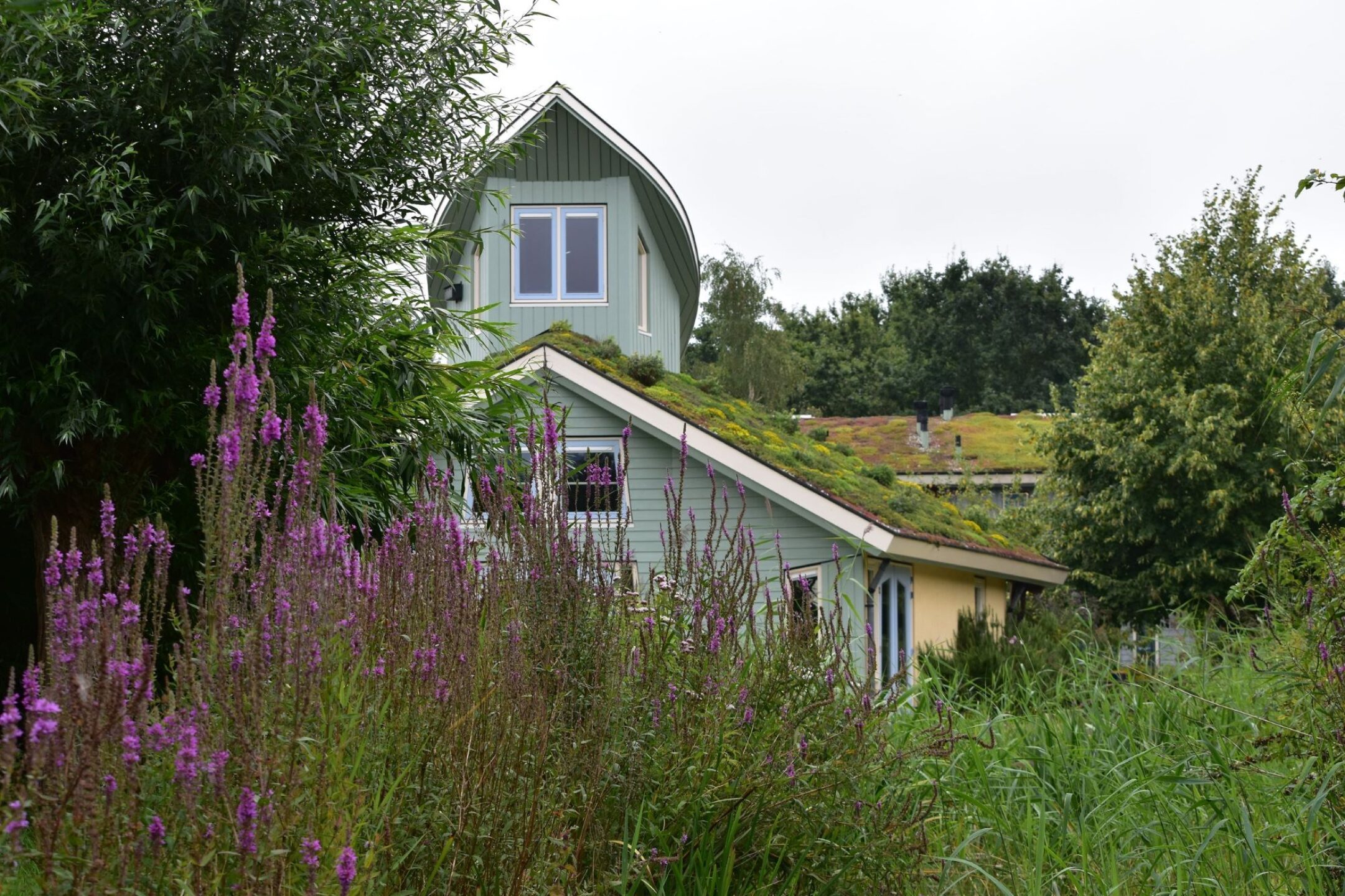 Biodiversiteit hoofdbeeld verkleind min