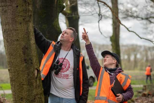 Boom - boomveilihgeidscontroleur